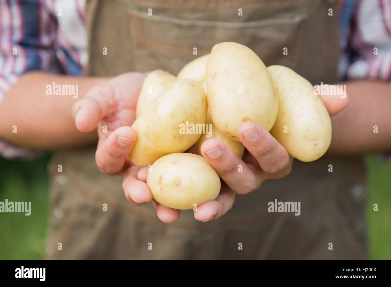 Farmer selling organic veg at market Stock Photo - Alamy