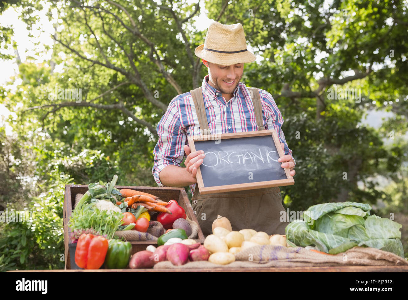 Farmer selling organic veg at market Stock Photo - Alamy