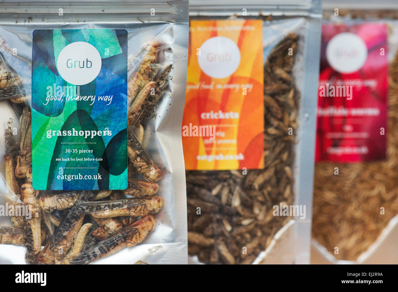 Edible insects. Grasshoppers, Buffalo Worms and Crickets in packets. Food of the future Stock Photo