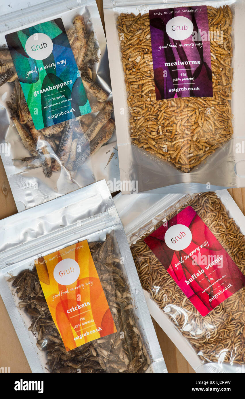 Edible insects. Grasshoppers, Buffalo Worms, Crickets and Mealworms in packets. Food of the future Stock Photo