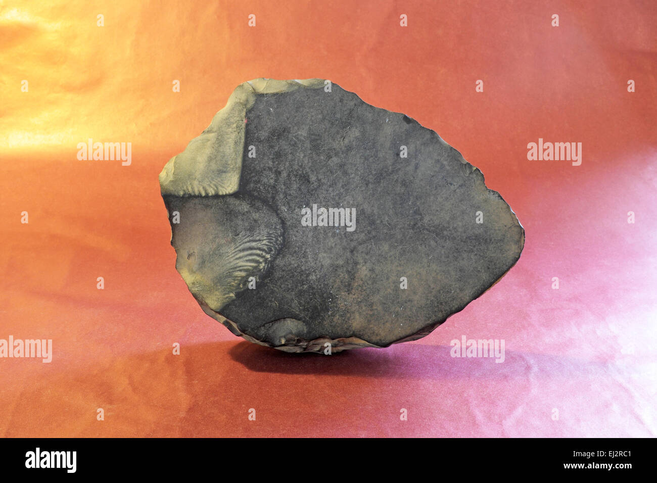 An Anasazi hand ax or digging tool from the Pueblo I period, made from basalt, 750 to 900 AD. Stock Photo