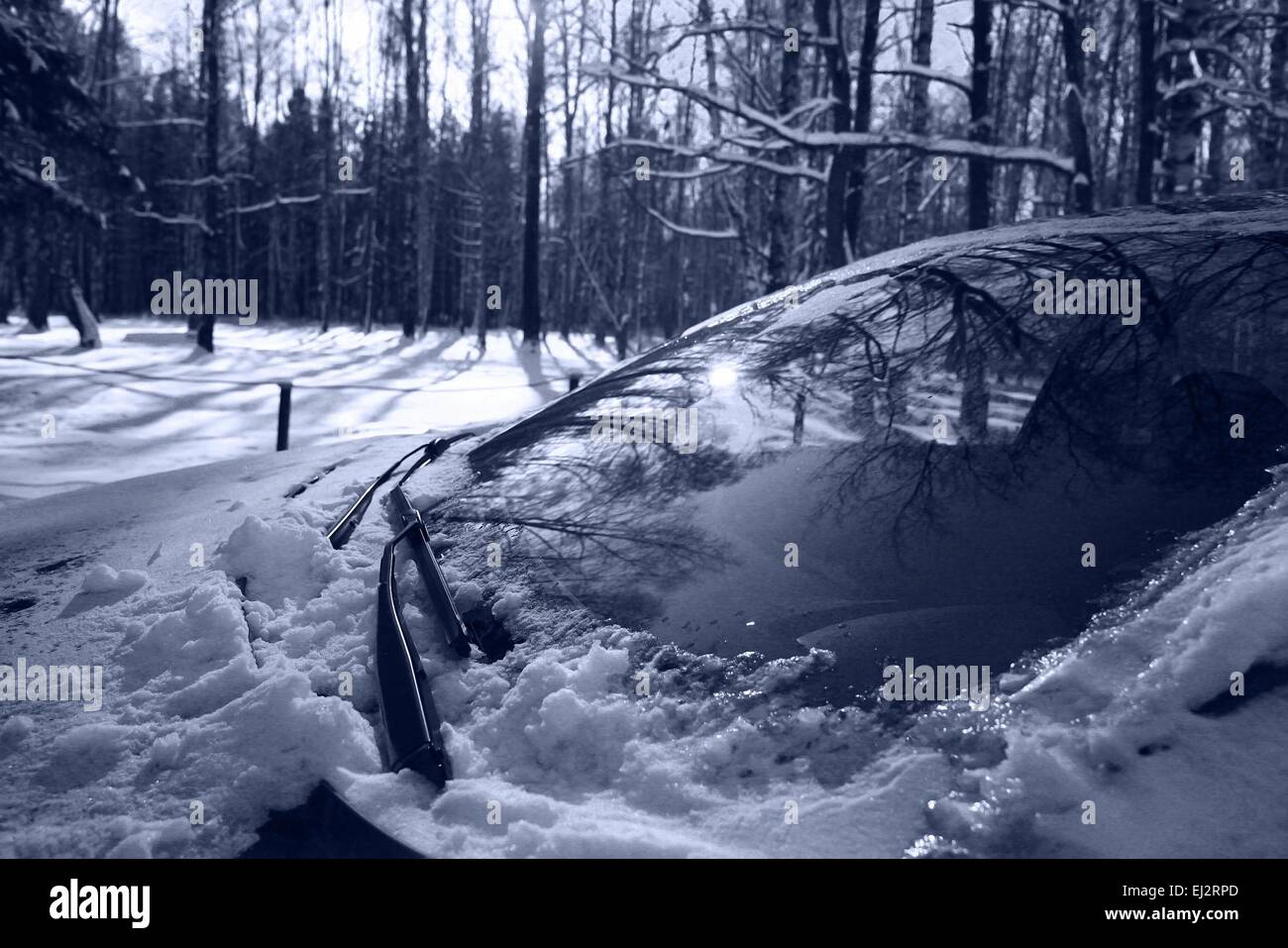 Winter road in snowy forest landscape Stock Photo - Alamy