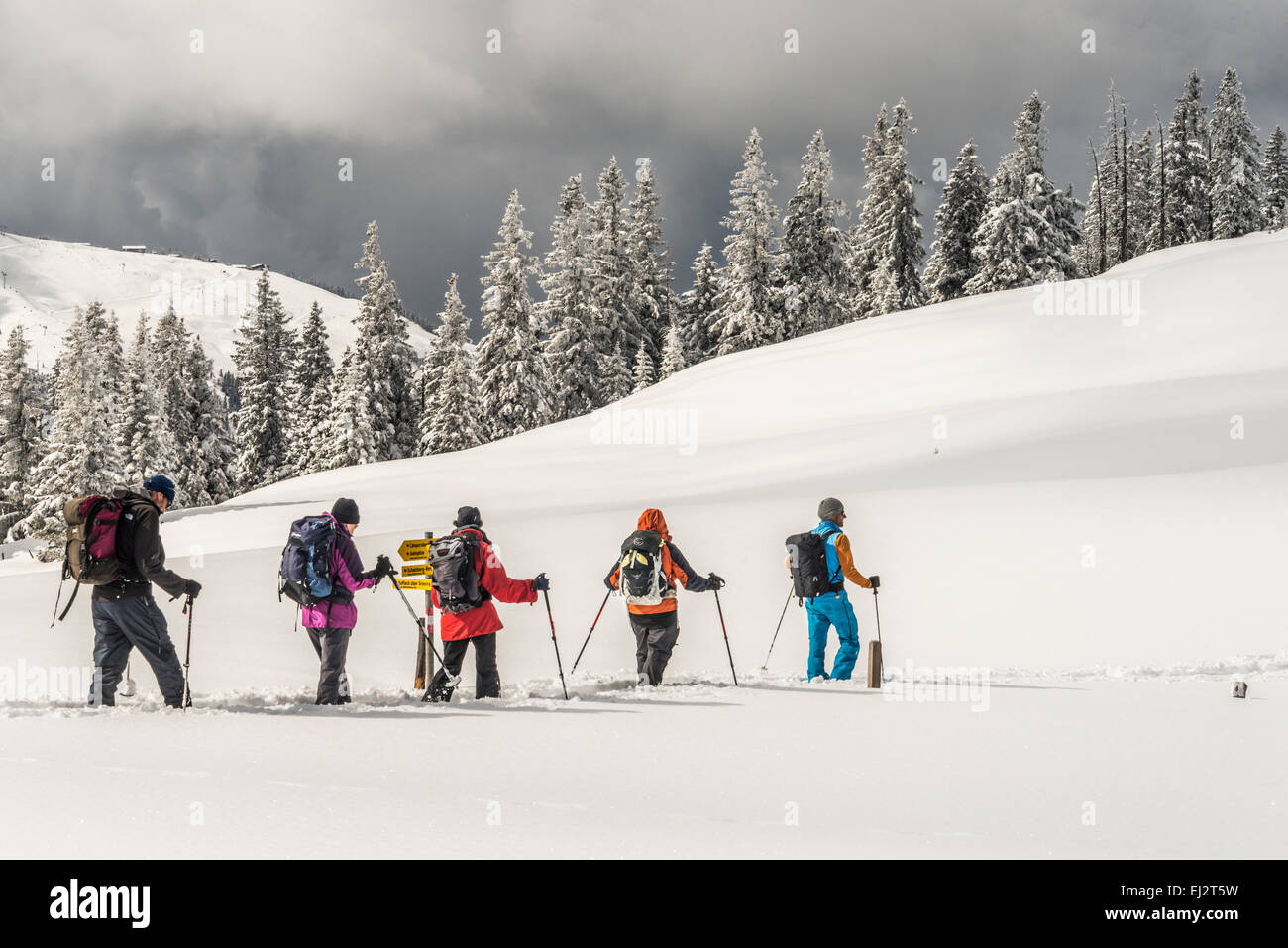Winter snow scene with snow covered trees and a group of people snow ...