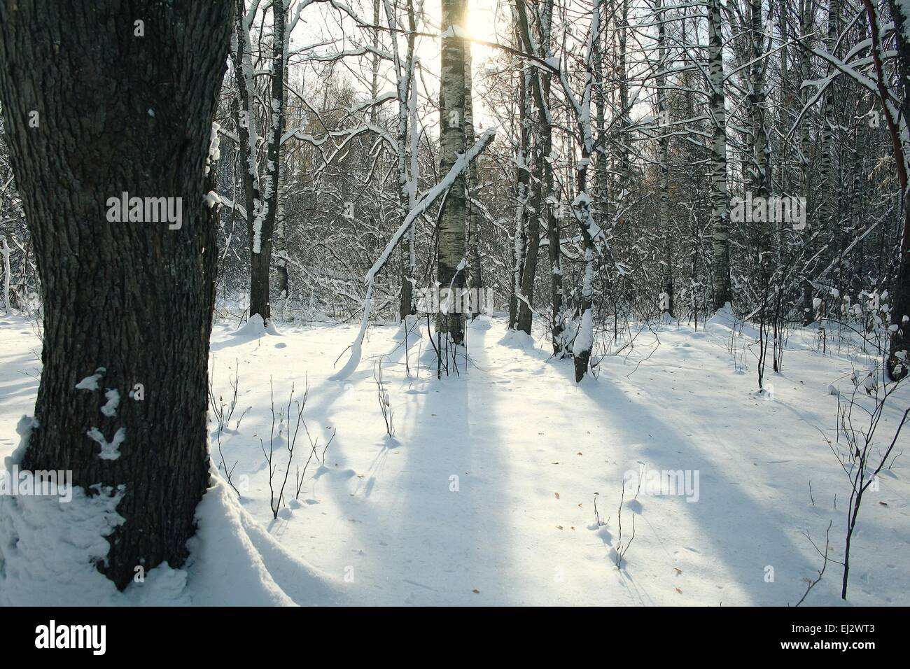 Snowfall america hi-res stock photography and images - Alamy