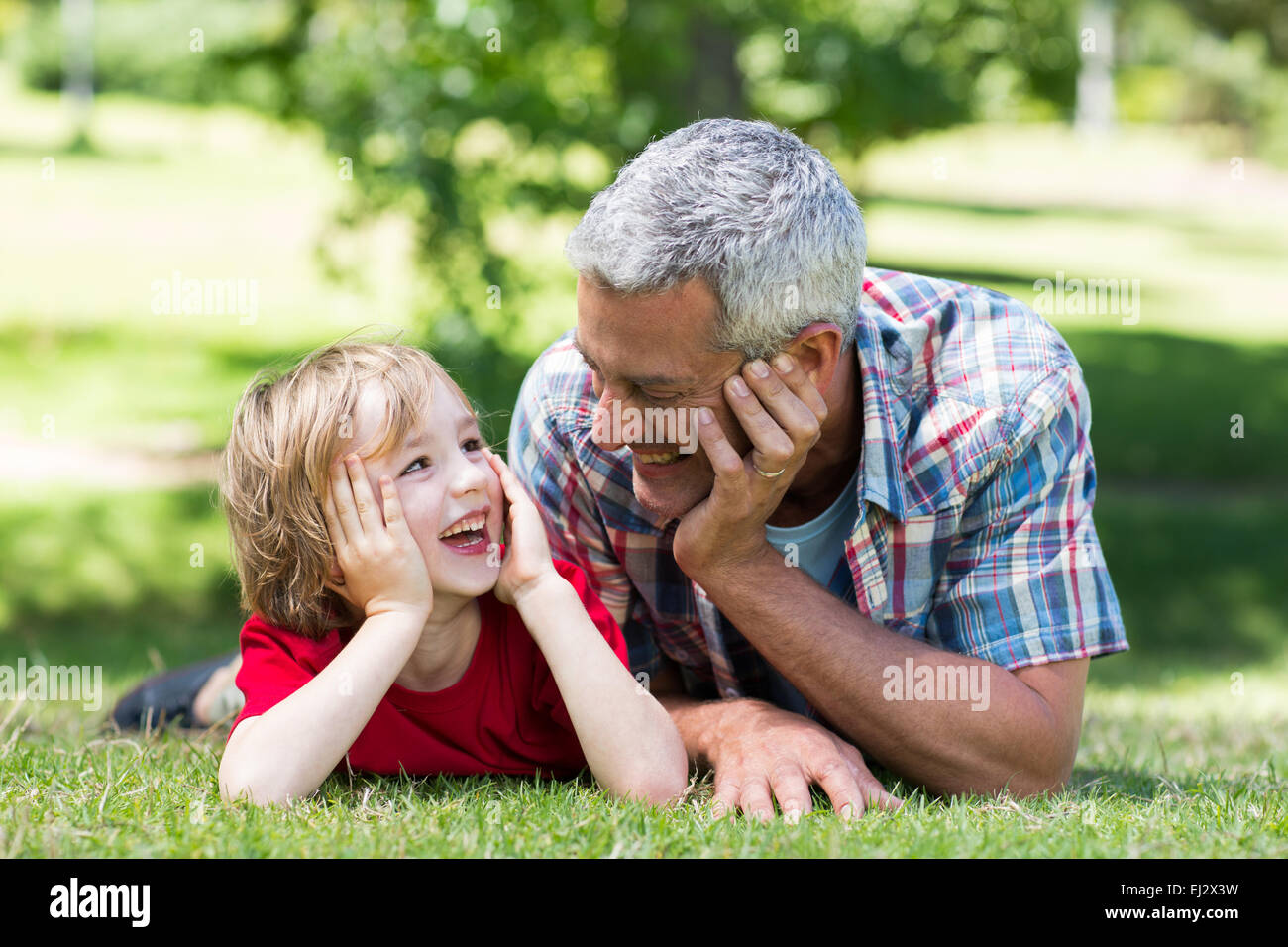 Happy father lying on the grass with his son Stock Photo - Alamy