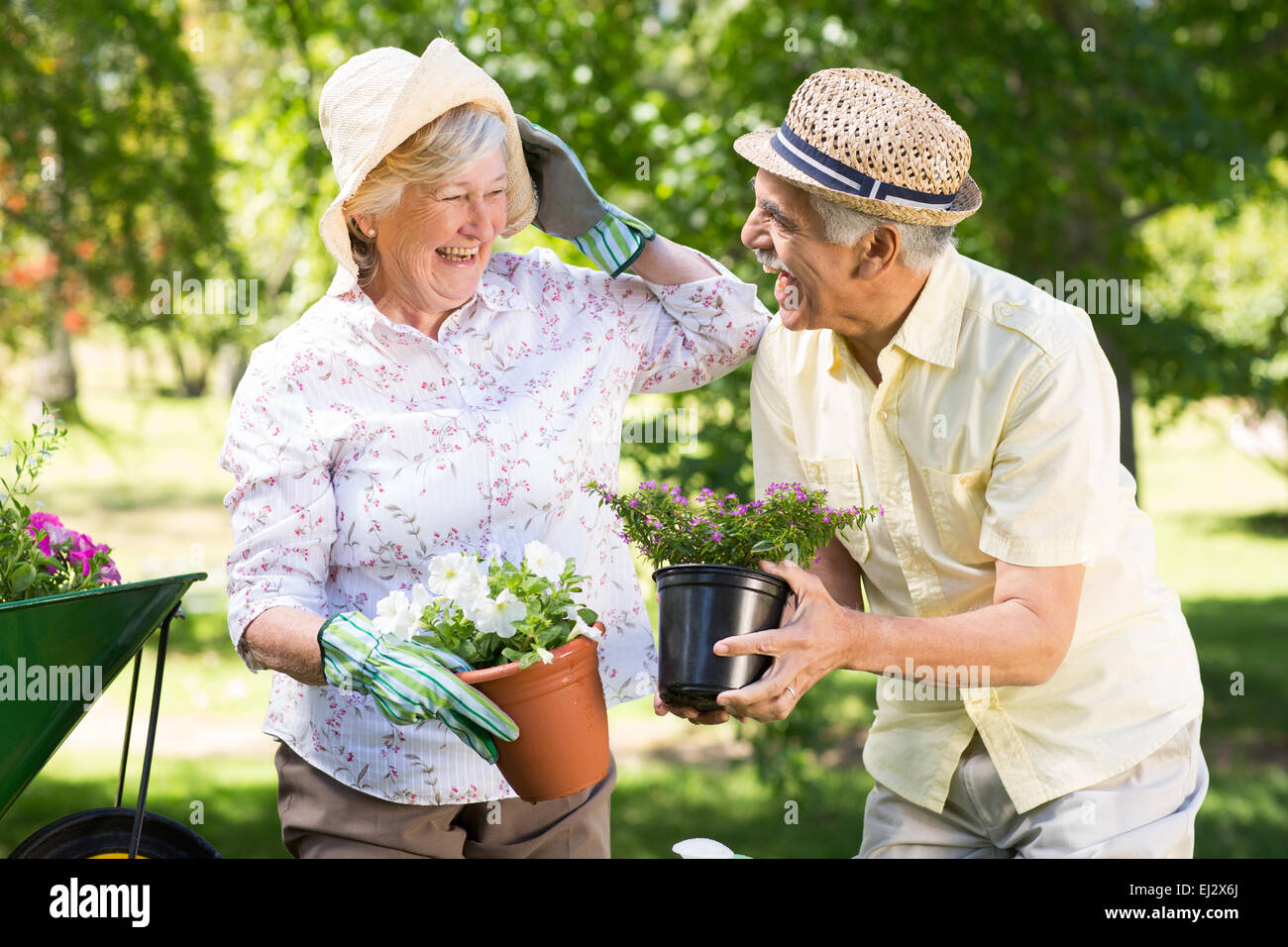 Seniors gardening hi-res stock photography and images - Alamy