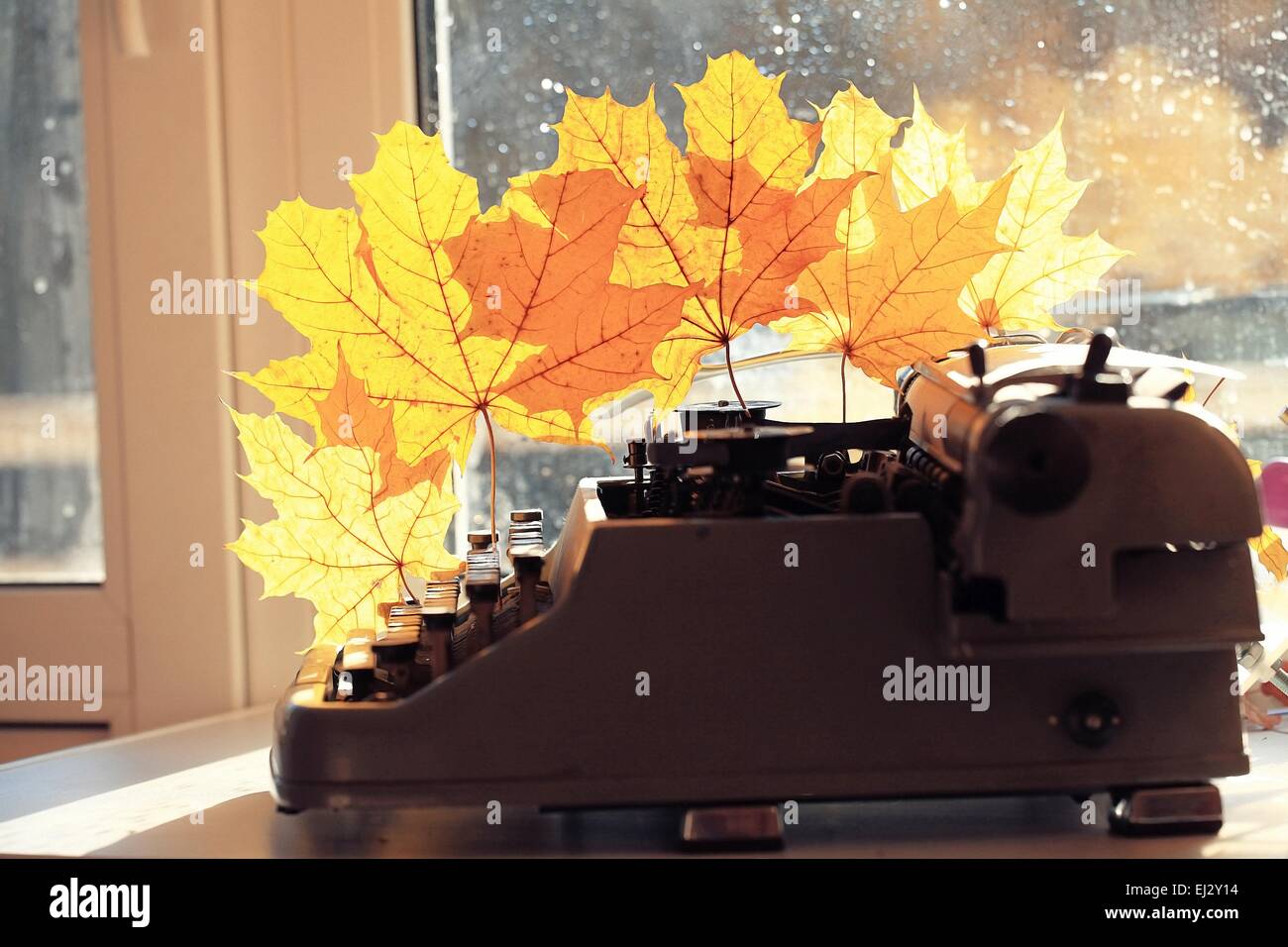 vintage printing machine Stock Photo Alamy