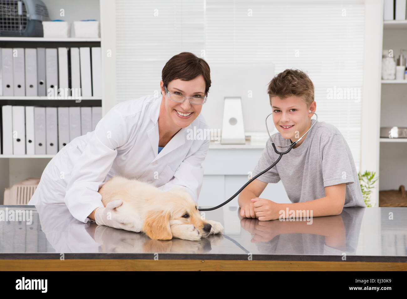 Smiling vet examining a dog with its owner Stock Photo - Alamy
