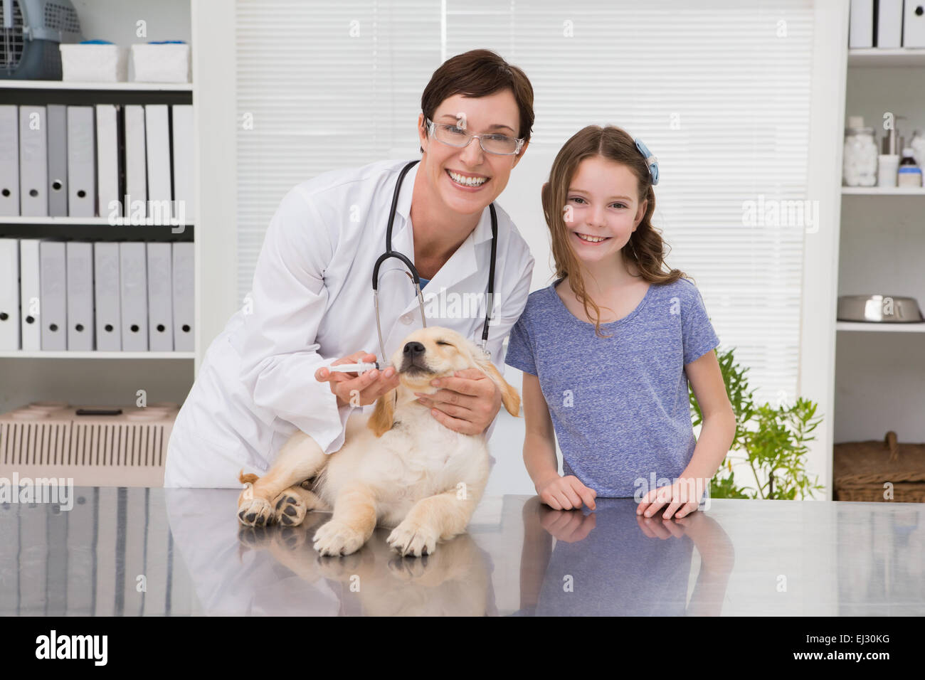 Smiling vet examining a dog with its owner Stock Photo - Alamy
