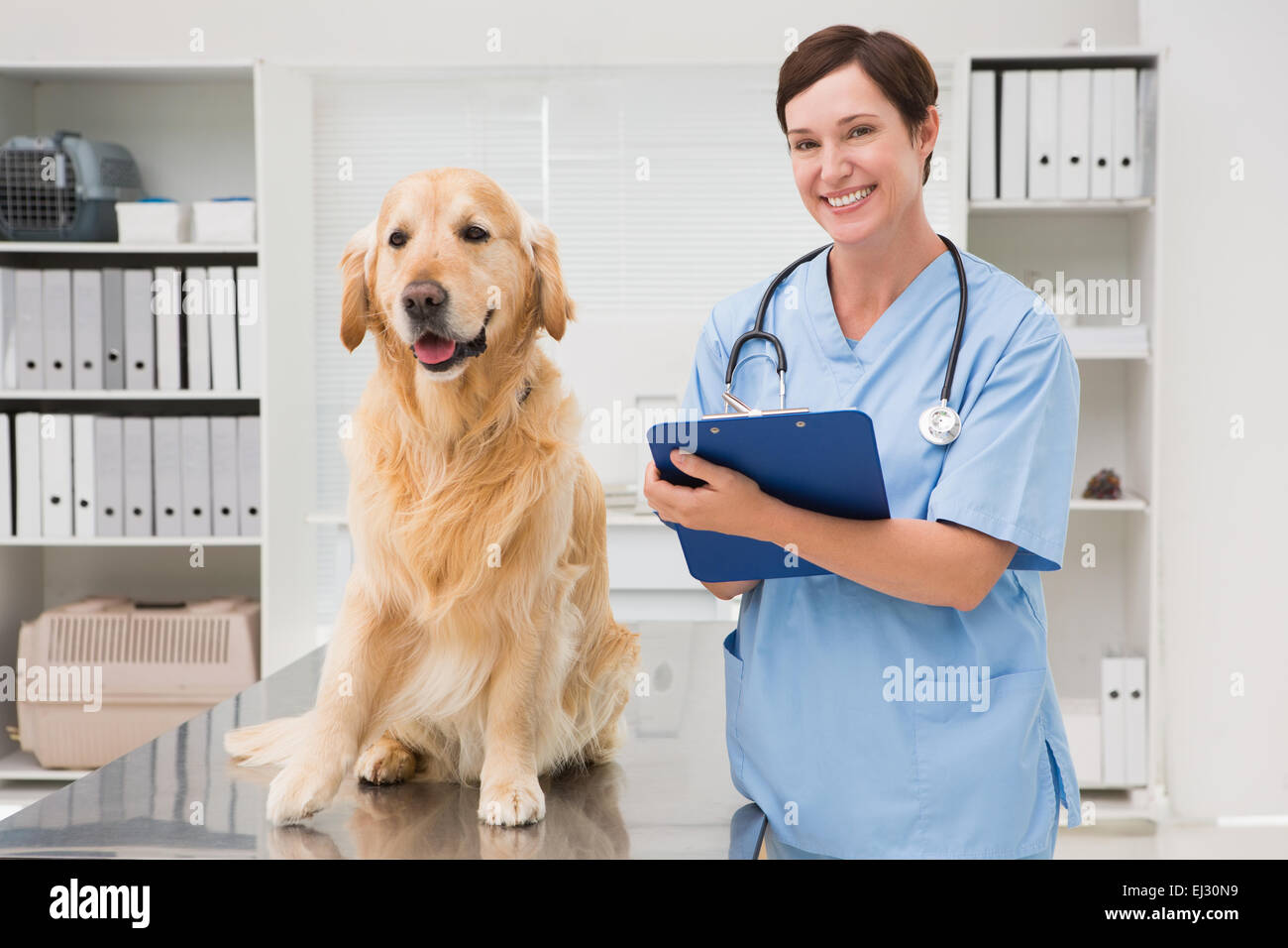 Vet examining a dog and writing on clipboard Stock Photo