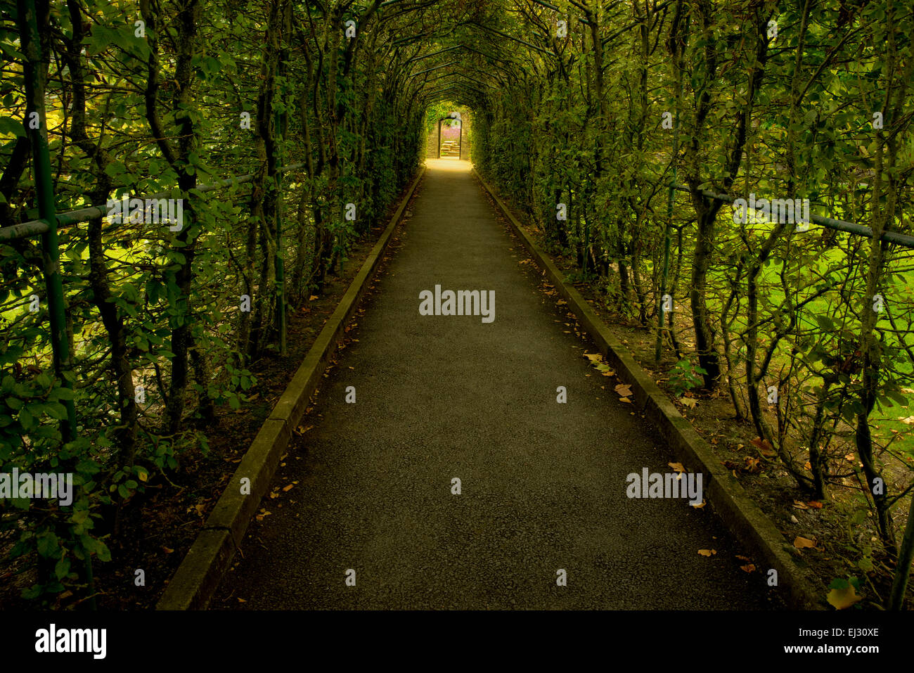 Entry into the Gardens at Dromoland Castle. Ireland Stock Photo