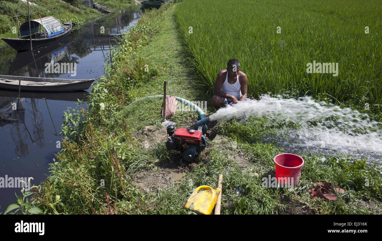 Dhaka, Bangladesh. 20th Mar, 2015. Dhaka, Bangladesh 20th March 2015; Farmer watering pitch black water in their cropland from Bali river which are polluted by sewage, filth & toxic chemicals flow which are poluted. A new UN report launched in New Delhi on March 20 ahead of World Water Day on March 22 warned of an urgent need to manage the world's water more sustainably and highlight the problem of groundwater over-extraction, particularly in India and China. The report says global demand for water is increasing exponentially, driven largely by population growth. (Credit Image: © Zakir Hossa Stock Photo