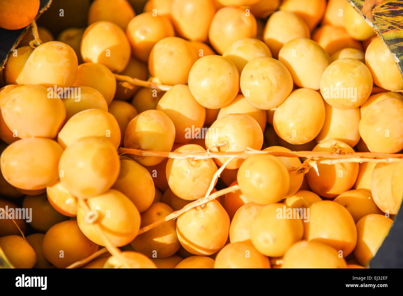 Cross section plum hires stock photography and images Alamy