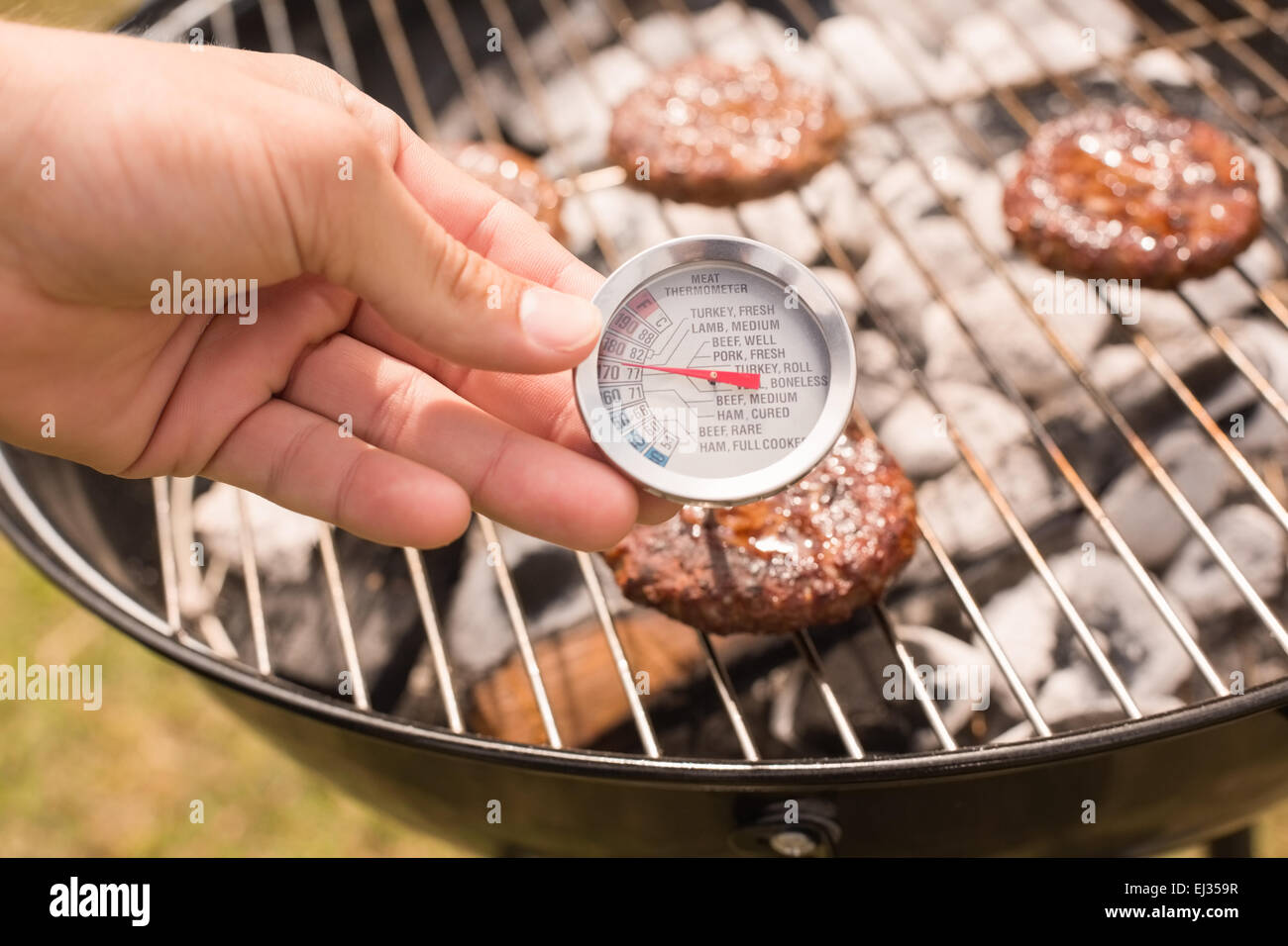 https://c8.alamy.com/comp/EJ359R/man-using-meat-thermometer-while-barbecuing-EJ359R.jpg