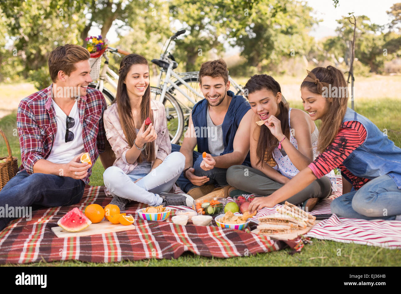 Happy friends in the park having picnic Stock Photo - Alamy
