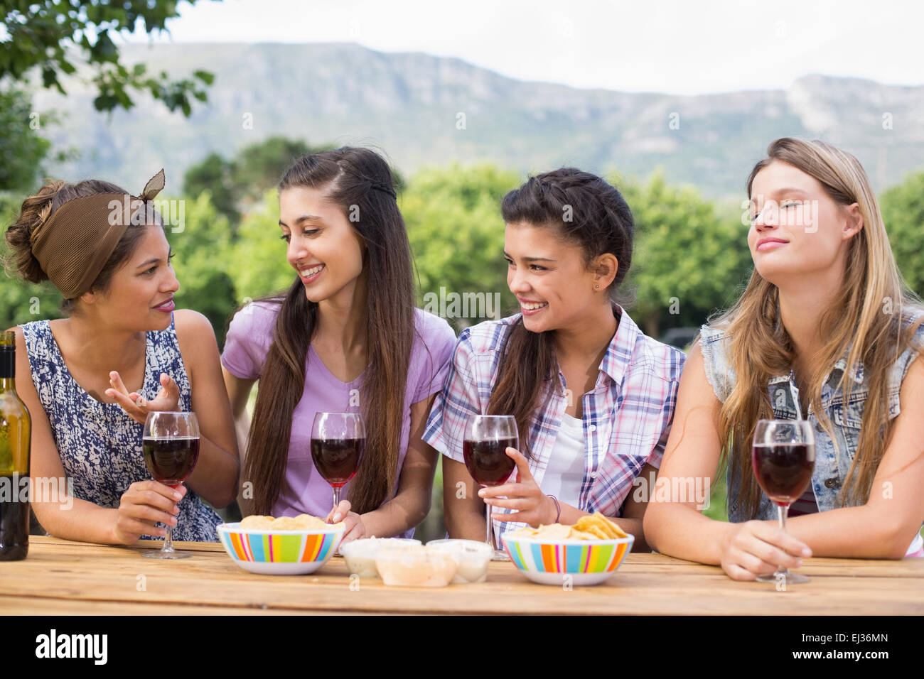 Happy friends in the park having wine Stock Photo - Alamy