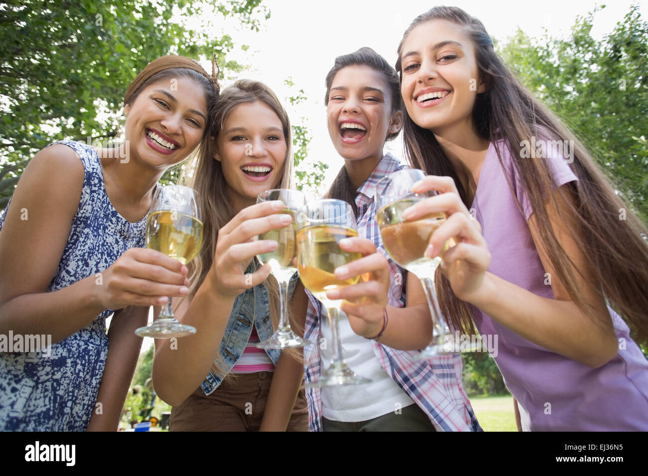 Happy friends in the park having wine Stock Photo - Alamy