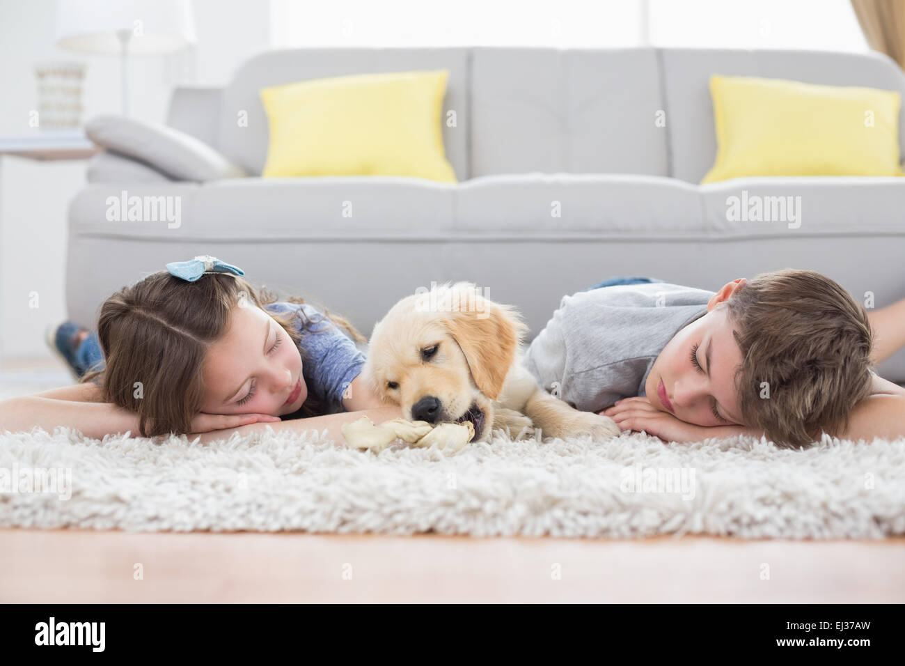 Siblings sleeping with dog on rug Stock Photo - Alamy