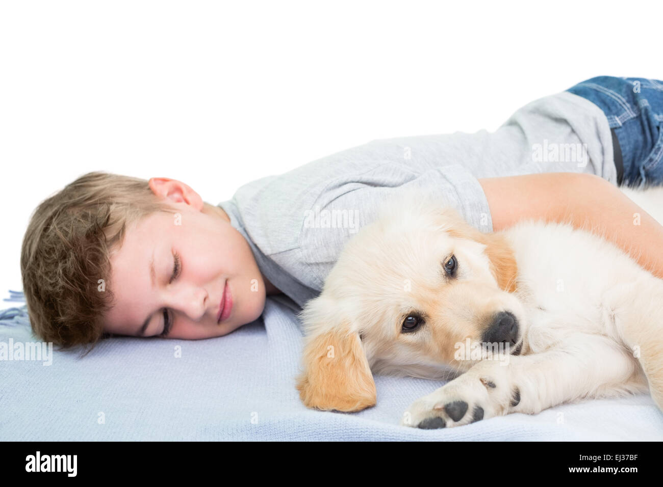 Boy sleeping with dog on blanket Stock Photo