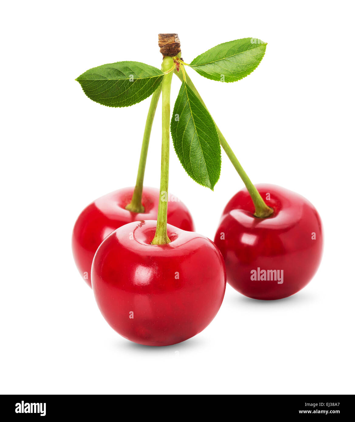 juicy cherries isolated on the white background. Stock Photo