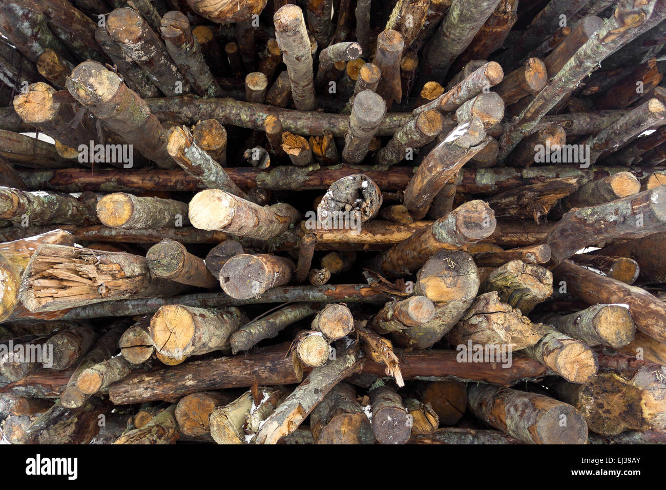 Texture of chopped logs stacked in pile Stock Photo - Alamy