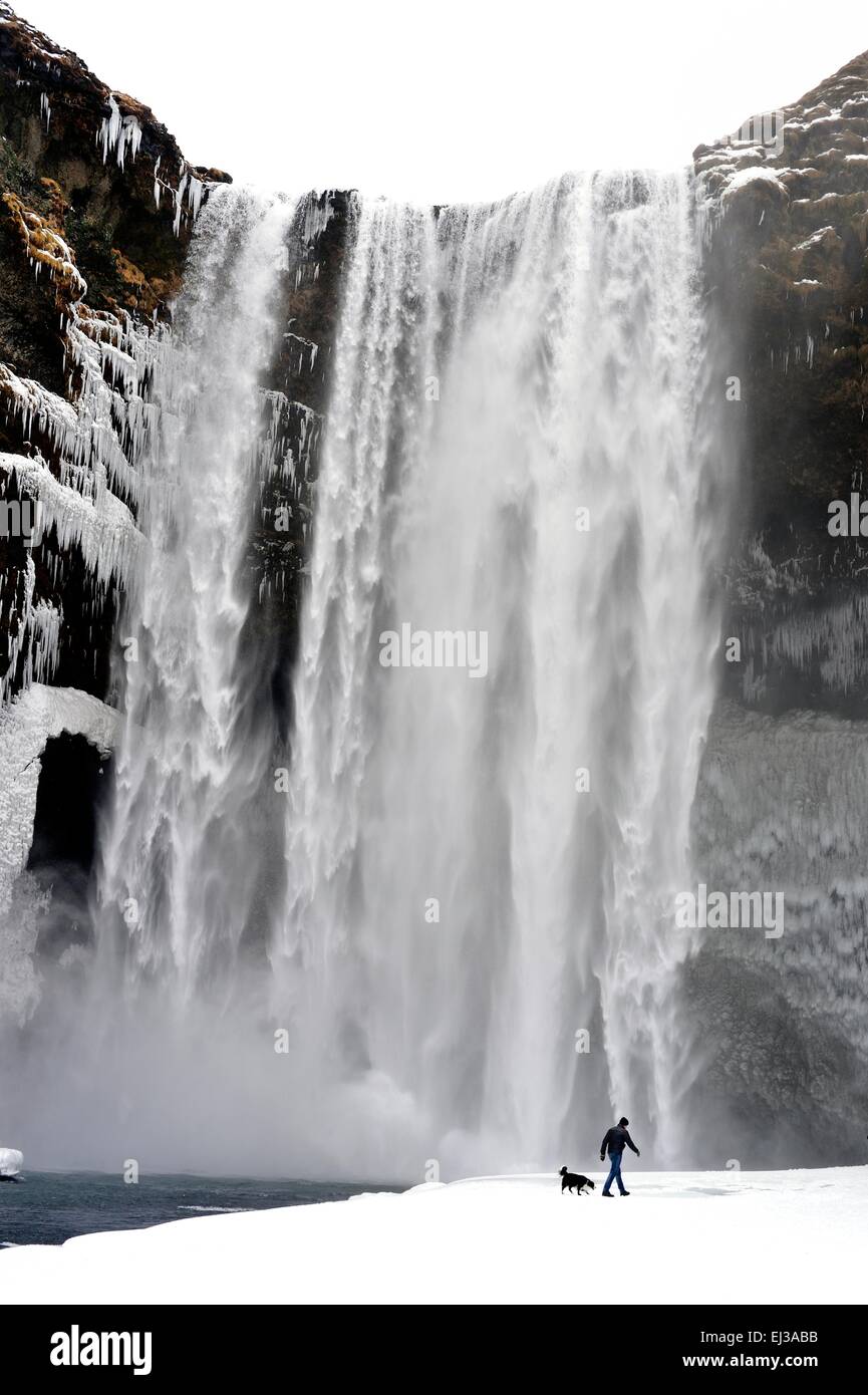 Lone man walks dog in front of Skogafoss waterfall Iceland in snow during winter Stock Photo