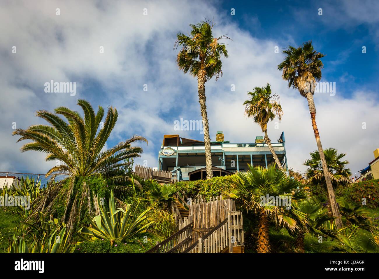 Laguna Beach private beach under cliffs thru palm trees