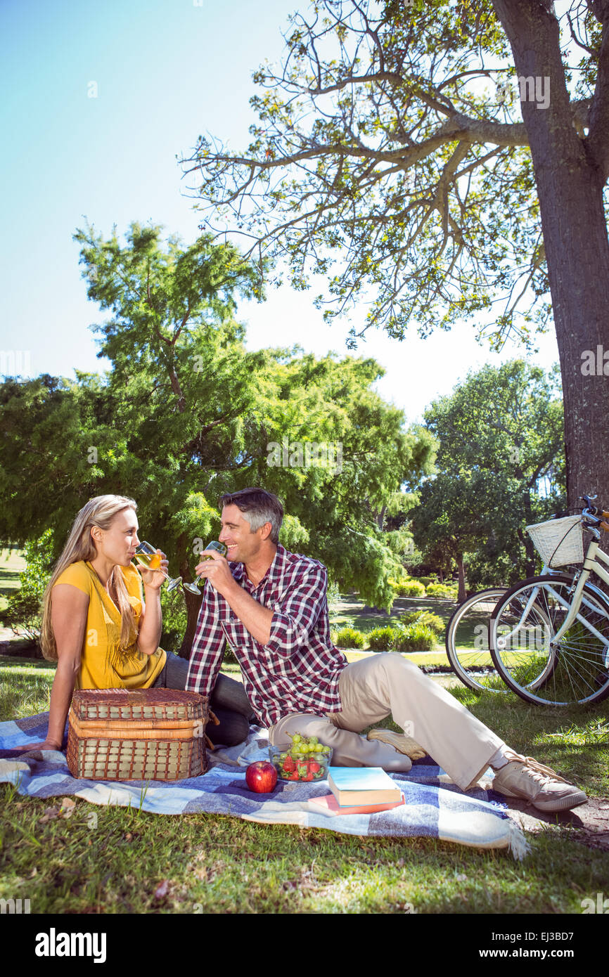 Couple having picnic in the park Stock Photo - Alamy