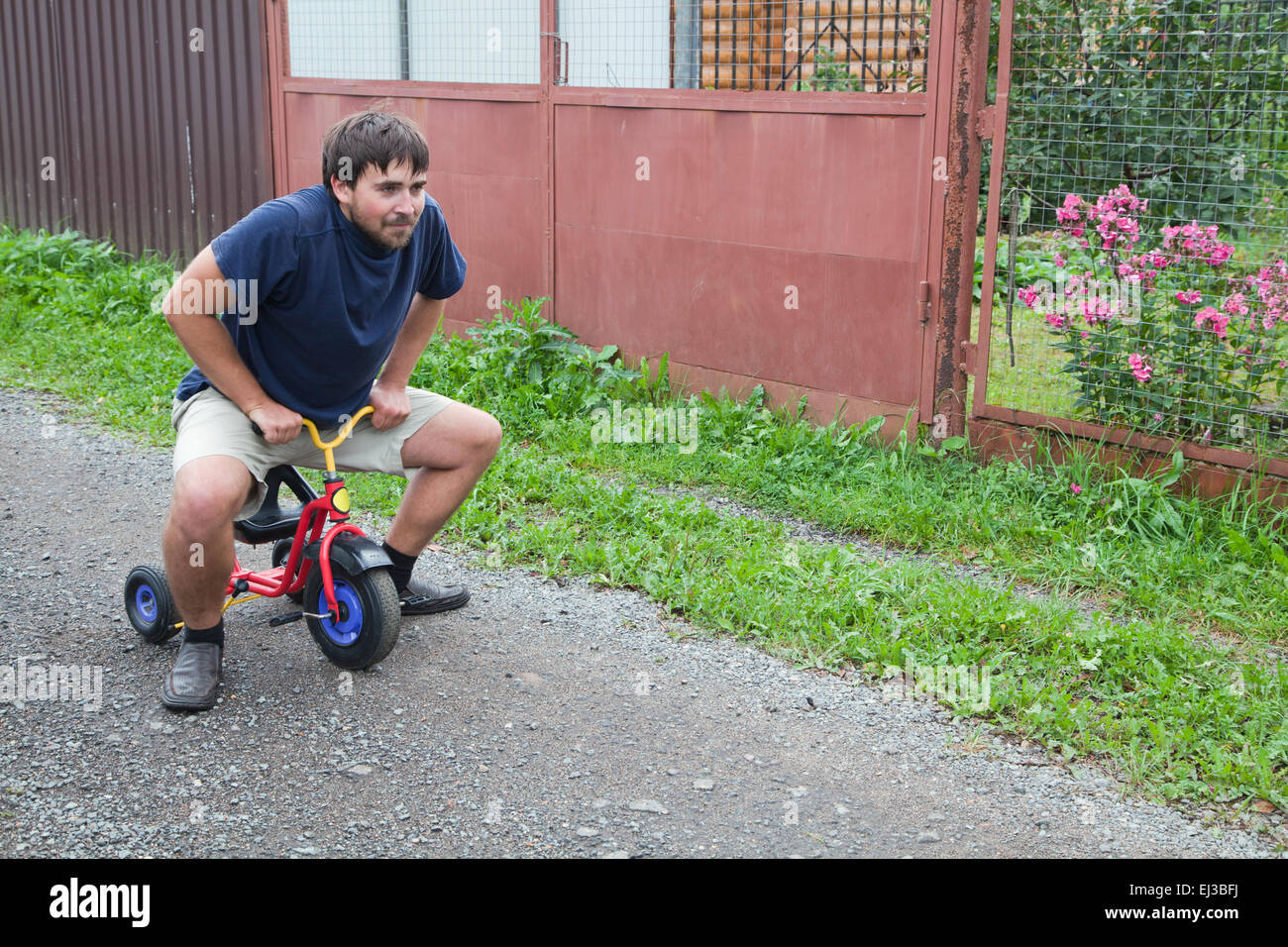 Adult man tying to ride on a small tricycle Stock Photo Alamy
