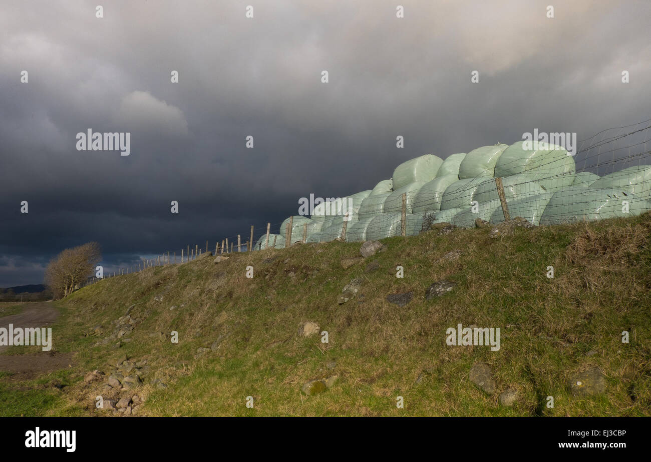 Hay bales under a stormy sky Stock Photo - Alamy