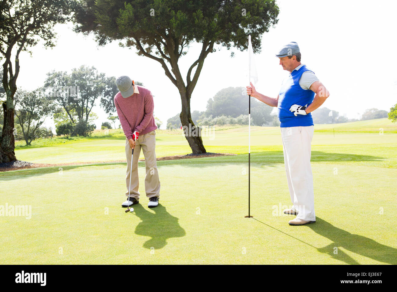 Golfer swinging his club with friend Stock Photo Alamy