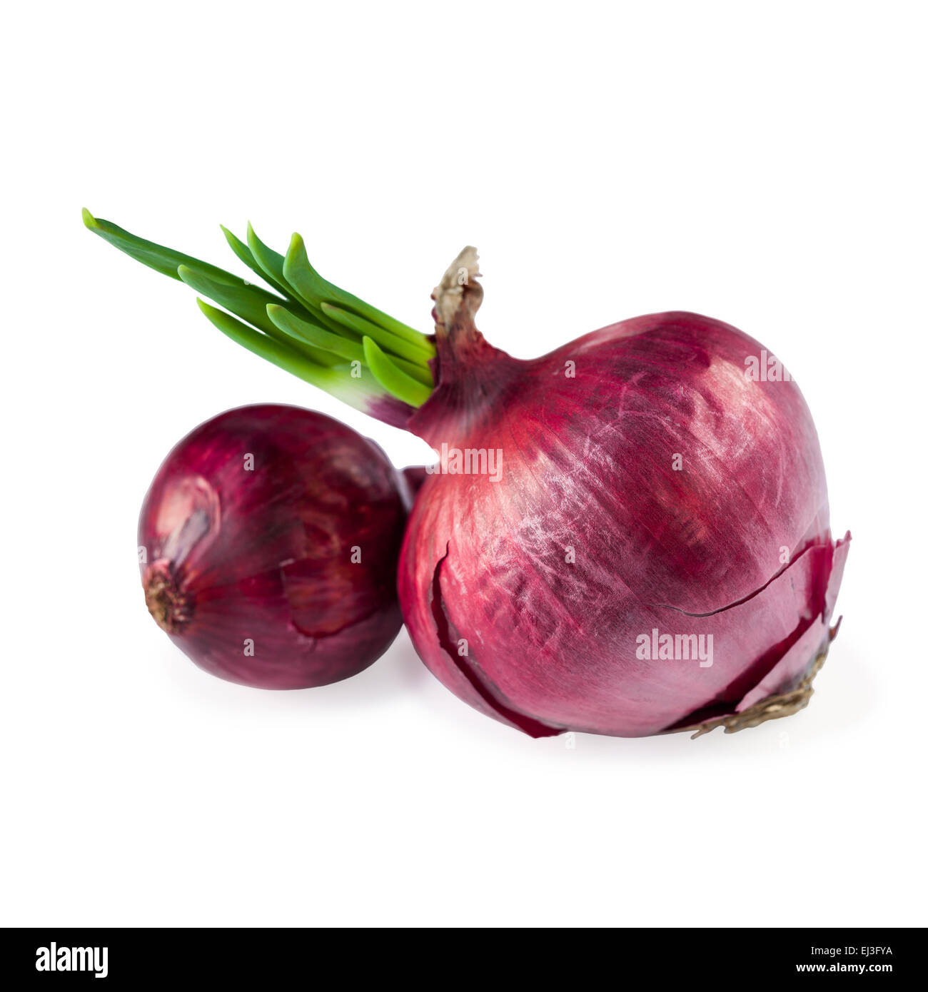 Red organic onion hi-res stock photography and images - Alamy