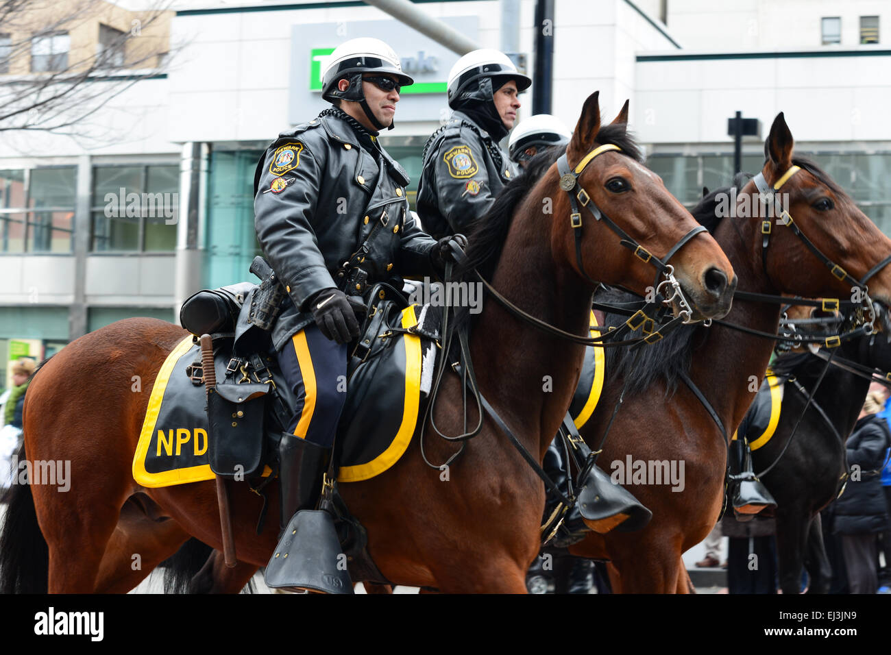 Newark Police Department mounted during the 2013 St. Patrick's Day parade. Newark, New Jersey. USA. Stock Photo