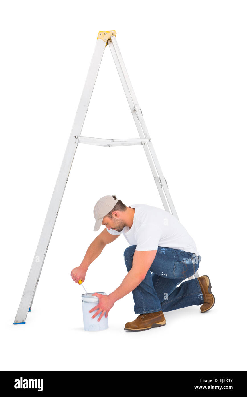 handyman with paint roller and ladder Stock Photo Alamy