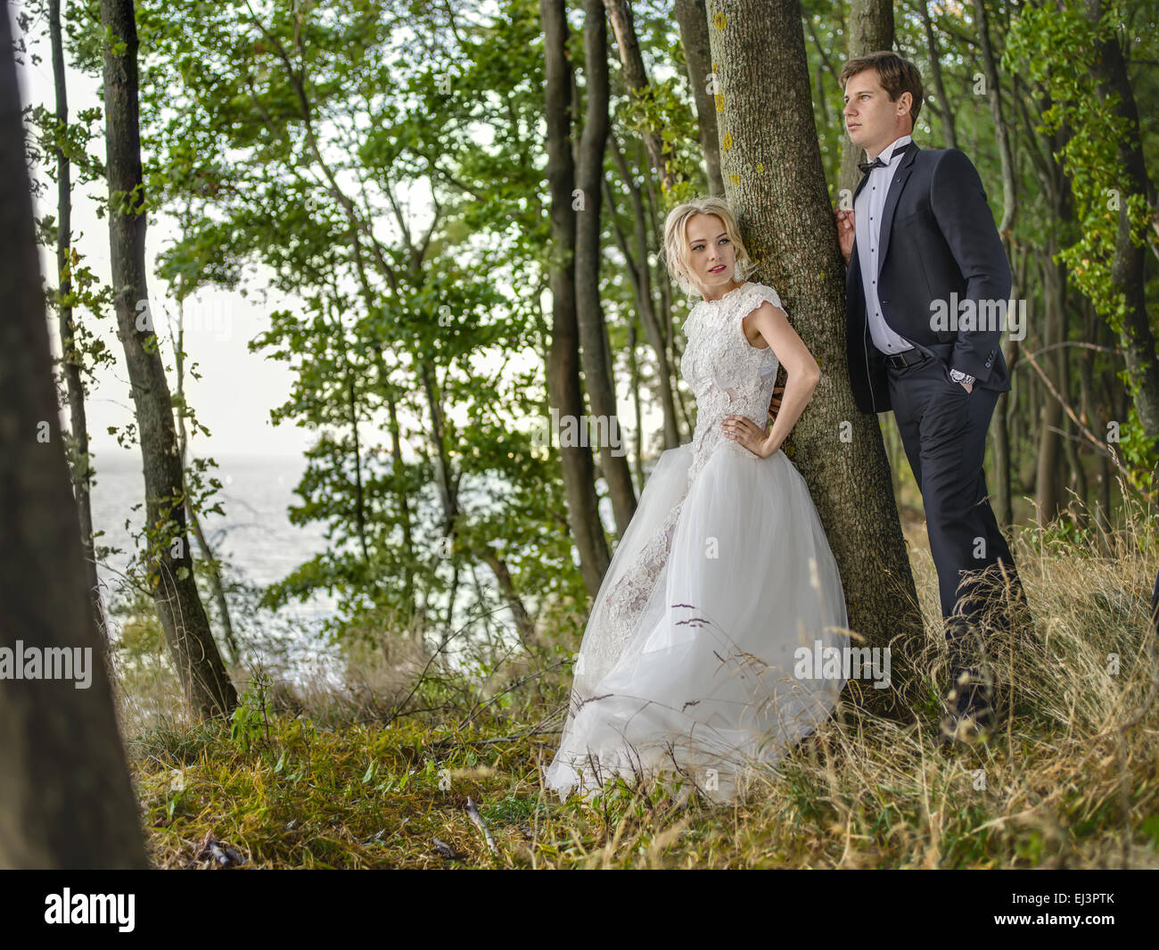 View wedding tree hi-res stock photography and images - Alamy