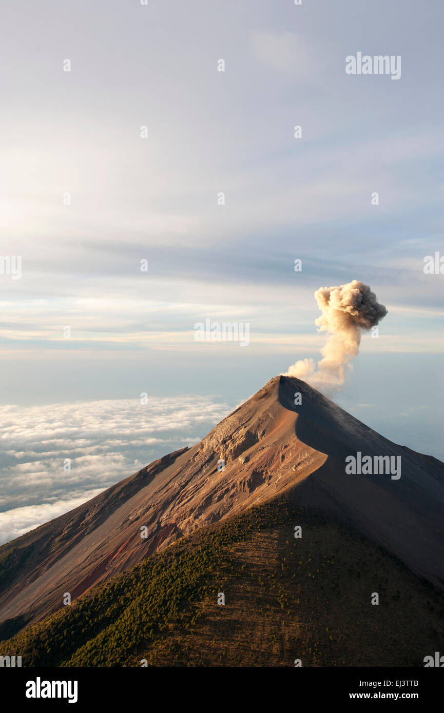 Volcan Fuego seen from Acatenango Volcano, Guatemala Stock Photo