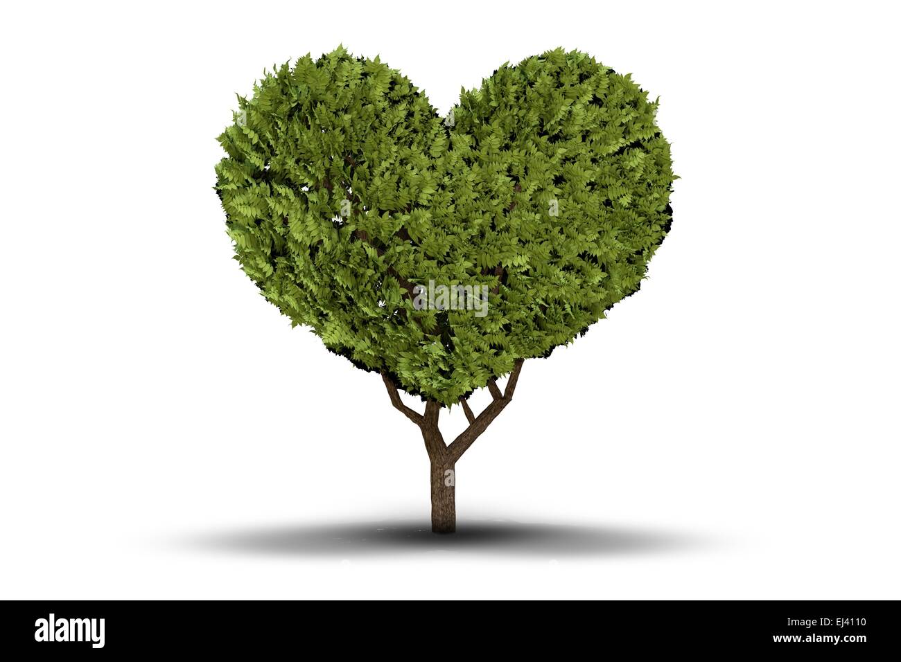 Love heart tree Stock Photo