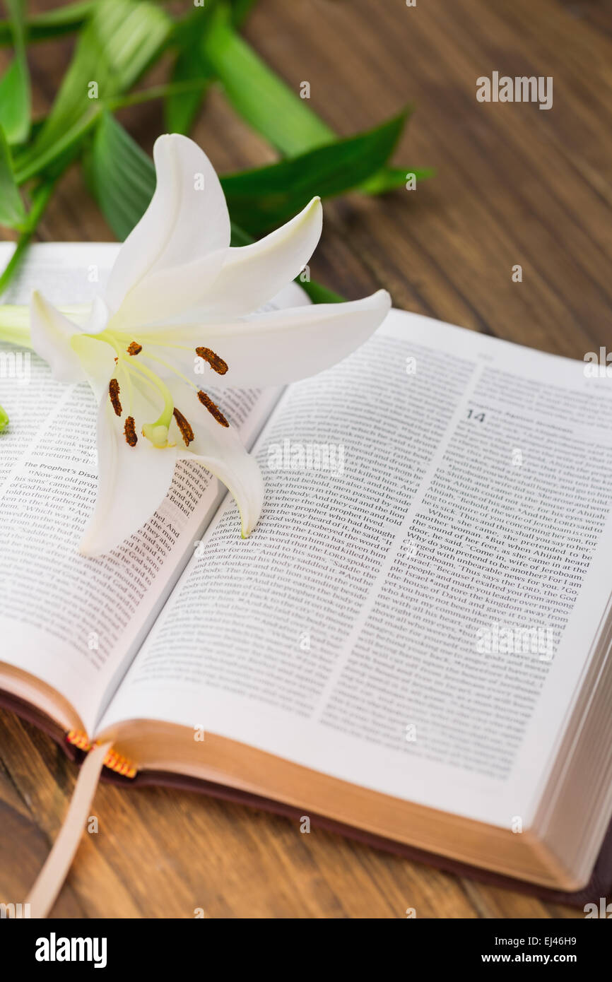Lily flower resting on open bible Stock Photo Alamy