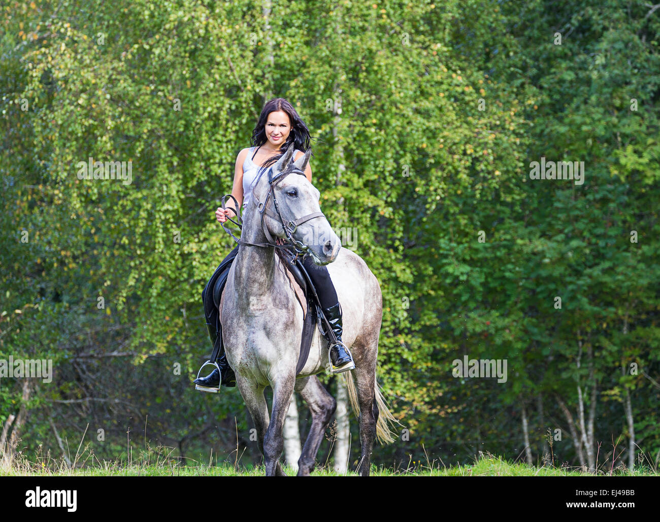 Elegant attractive woman riding a horse farm Stock Photo