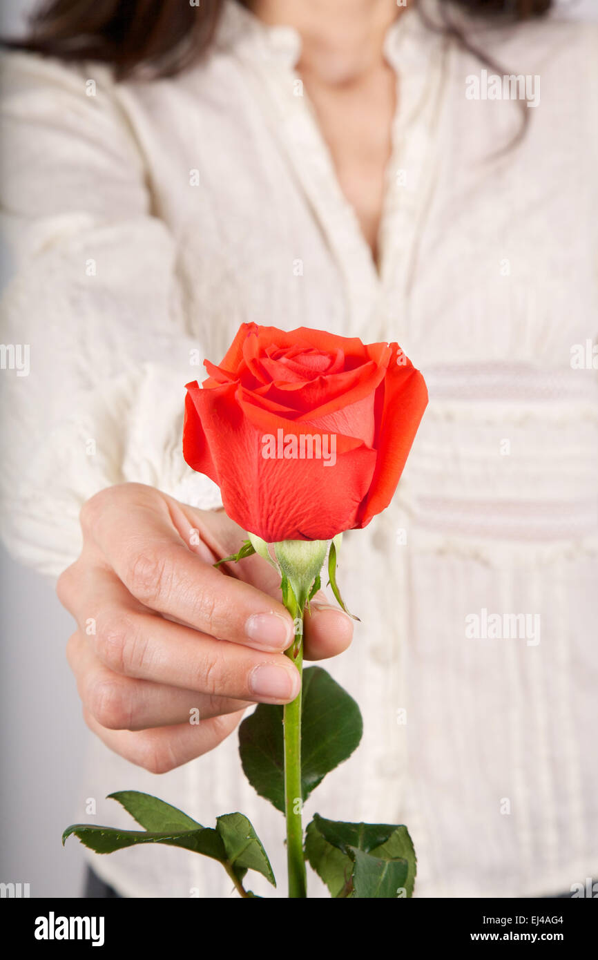 Offeing Roses detail of woman white shirt with red rose flower offering in her hands ...