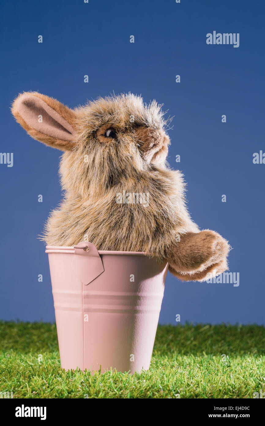 Bunny rabbit in pink bucket Stock Photo