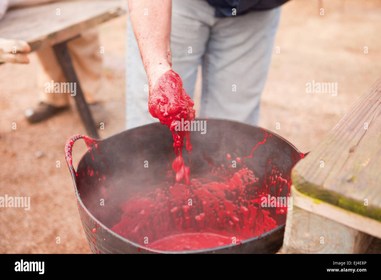 Traditional home slaughtering in a rural area. Farmer gather the blood and stiring it avoiding the coagulation Stock Photo