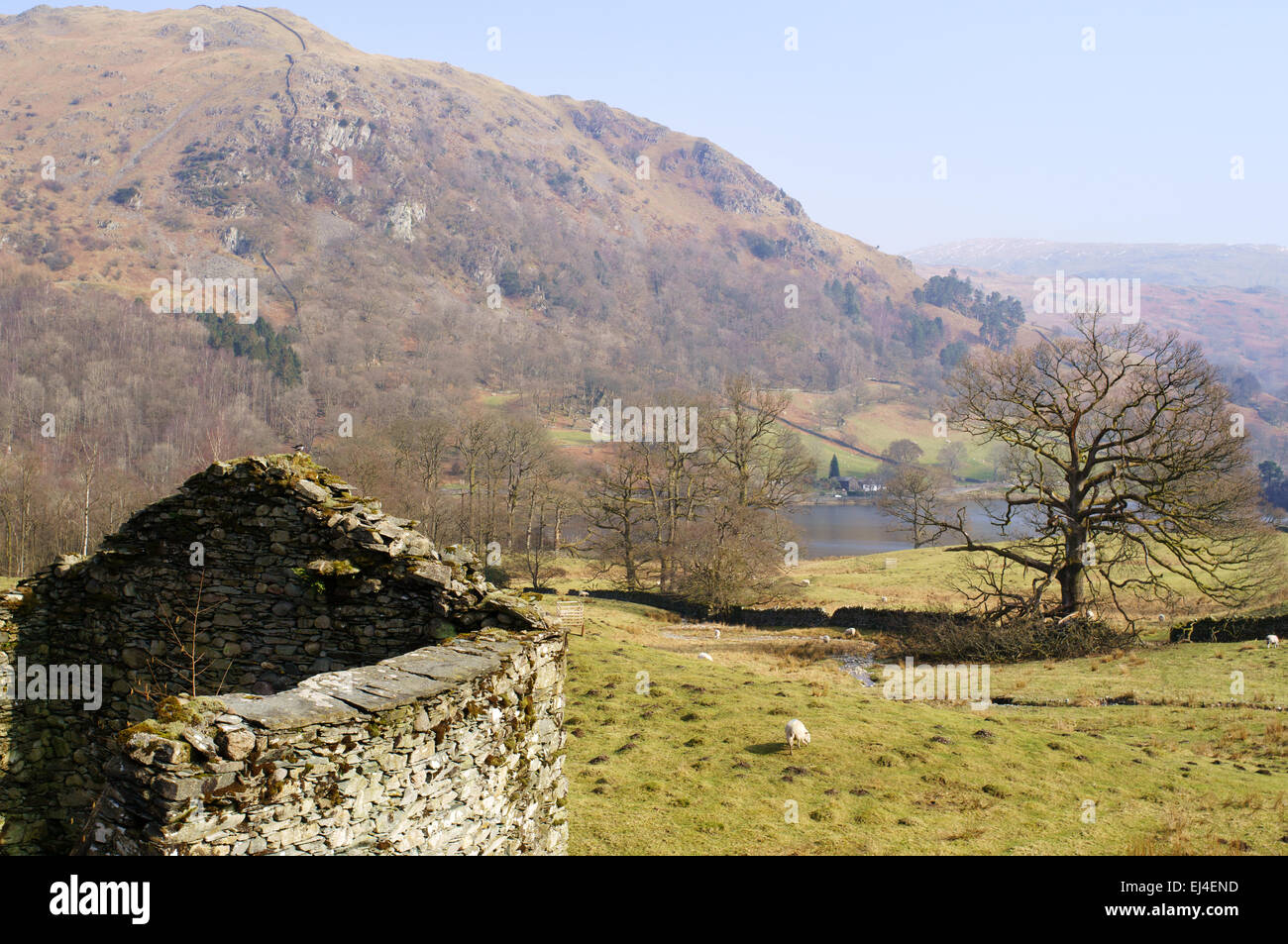 View looking down towards Rydal water, Lake District, England, UK Stock Photo