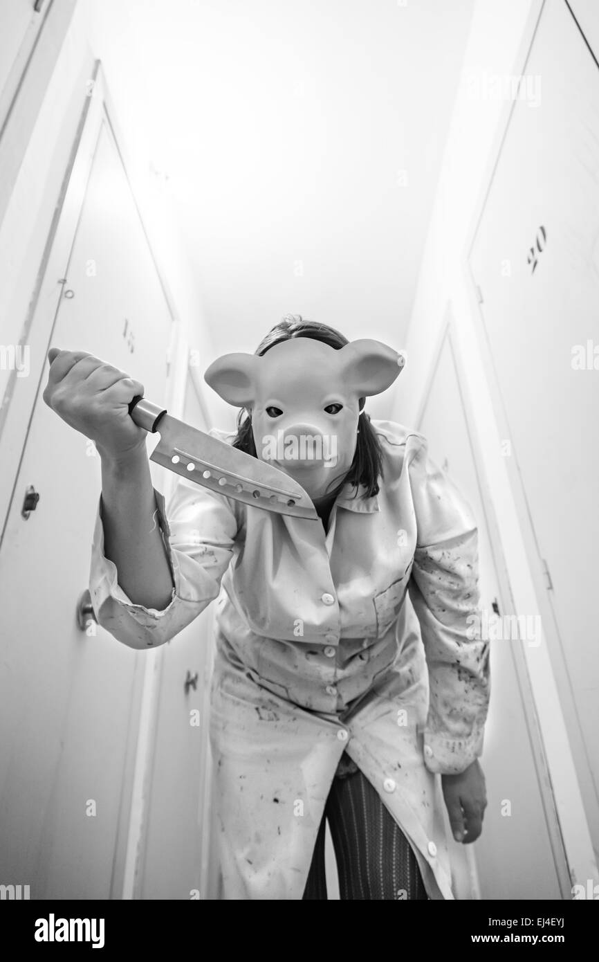 Pork attacking with knife storage, fear Stock Photo
