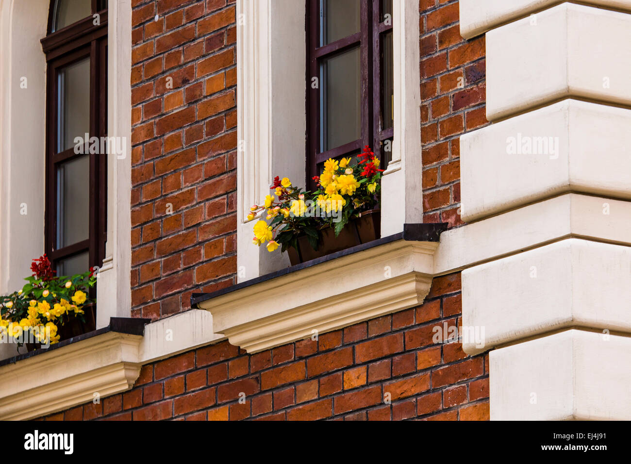 Traditional houses in Krakow, Poland Stock Photo Alamy