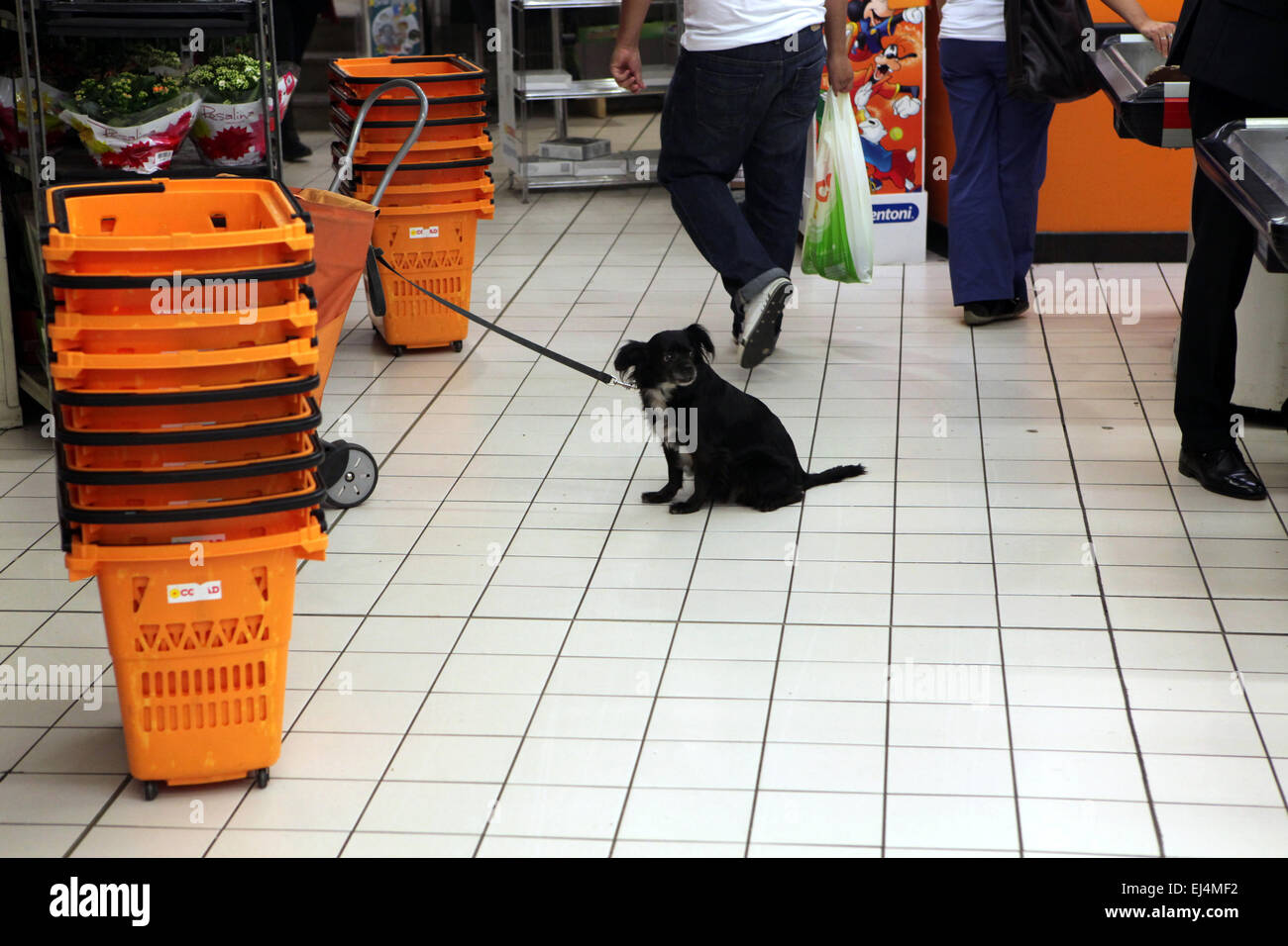 Waiting supermarket cash desk hires stock photography and images Alamy