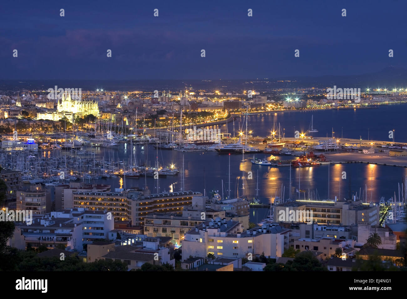 In Club De Mar Marina Palma De Mallorca Majorca High Resolution Stock  Photography and Images - Alamy