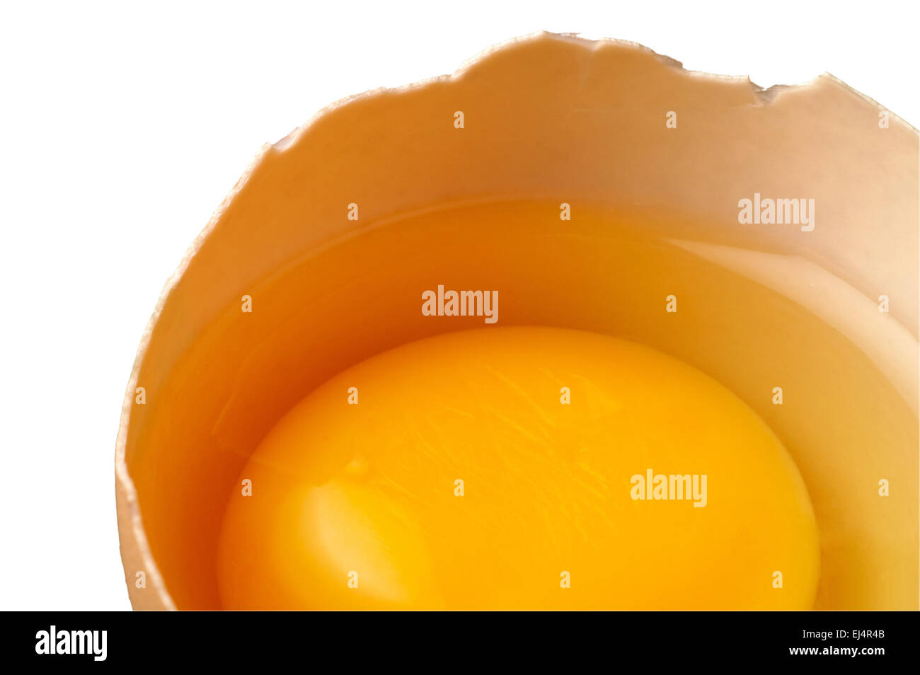 Raw egg in shell closeup Stock Photo