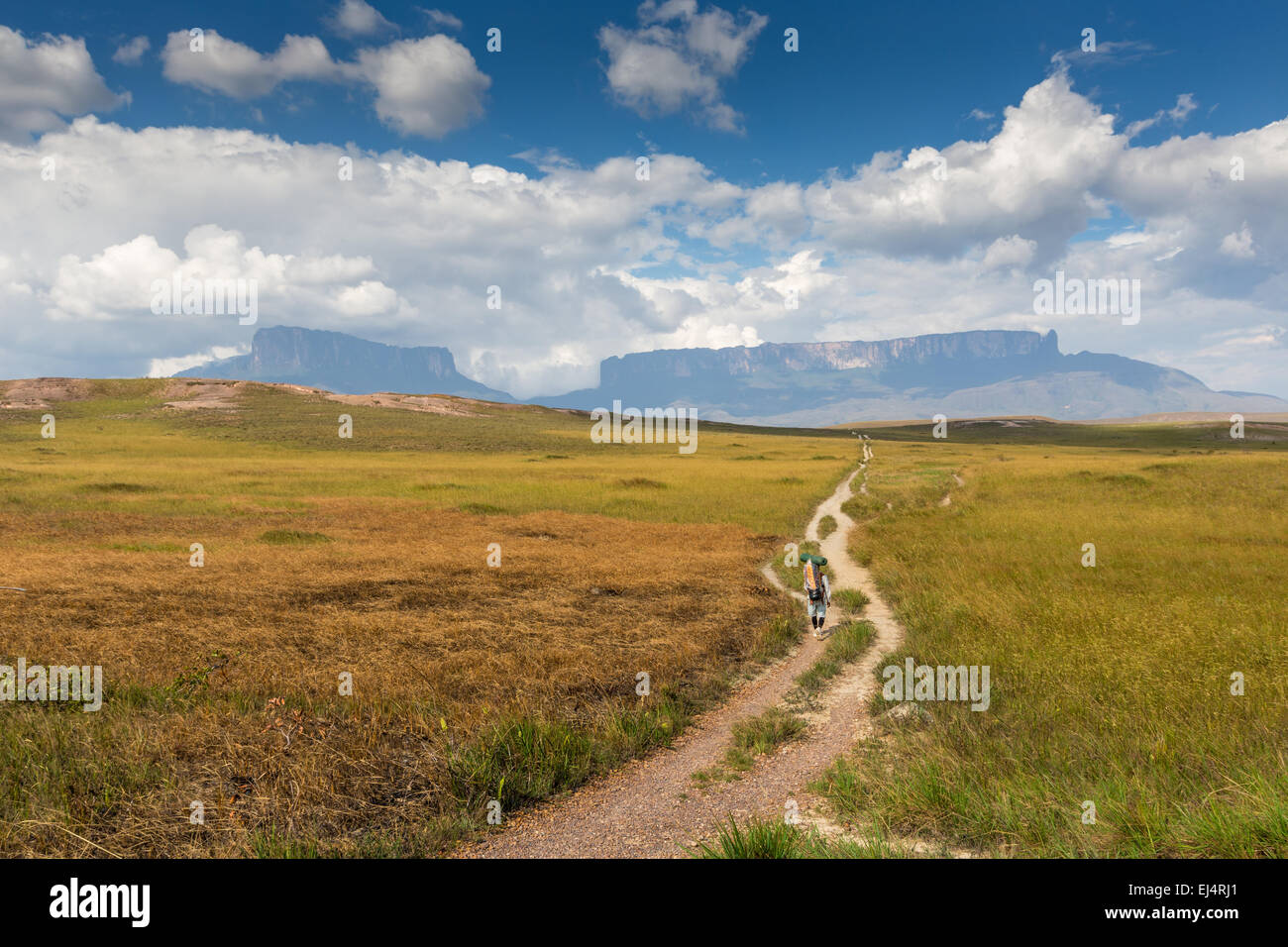 Track to Mount Roraima - Venezuela, South America Stock Photo