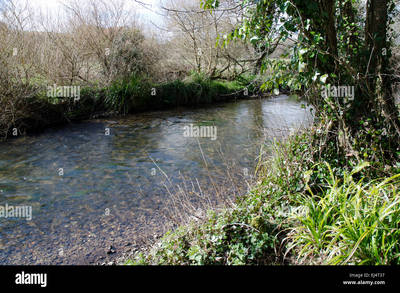 Chalk River Dorset High Resolution Stock Photography and Images - Alamy